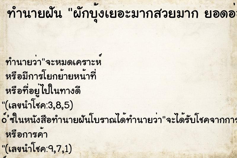 ทำนายฝัน ผักบุ้งเยอะมากสวยมาก ยอดอ่อนเต็มไปหมด ทำนายฝัน ผักบุ้งเยอะมากสวยมาก ยอดอ่อนเต็มไปหมด
